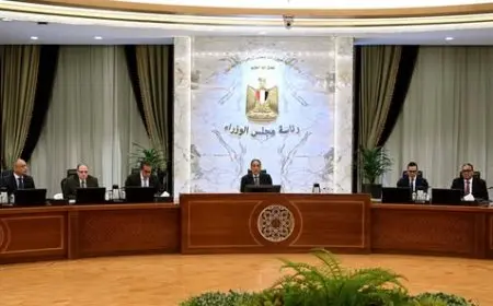 “رئيس الوزراء يفتح الباب أمام الماركات العالمية للدخول إلى السوق المصرية، اكتشف الإجراءات الجديدة!”