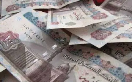 كيف يؤثر بخل الزوج على حياة الأسرة؟ اكتشف الأسباب الرئيسية!