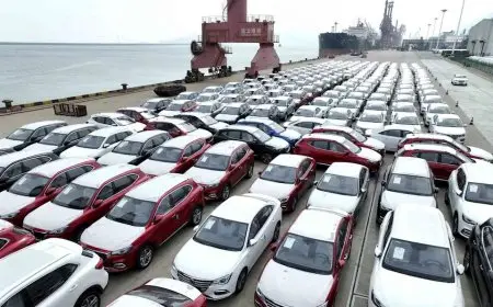 أحصائيات صادمة: تعرف على عدد المركبات المرخصة في نهاية 2024!