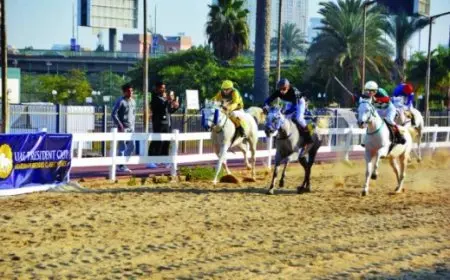 كيف تعرف الفرق بين خيل عربية أصيلة وغيرها؟ اكتشف الطرق السرية!