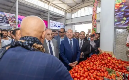 صندوق تحيا مصر ينقل قلب المقطم: افتتاح 317 محلاً وكافتريا وأفران لتناول رائع ومناطق انتظار تجذب الزبائن!