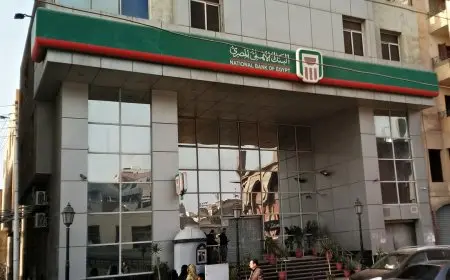 تعرف على أعلى عائد بنسبة 28% في البنك الأهلي!