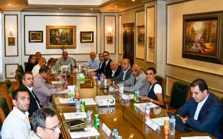 قرارات مجلس إدارة اللجنة المصرية تثير الجدل بتشكيلته الجديدة!