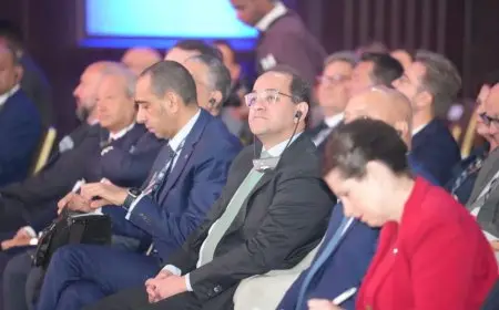 وزير المالية يكشف عن أخبار مذهلة حول الاقتصاد المصري! اكتشف الفرص الاستثمارية الضخمة التي تنتظرك الآن