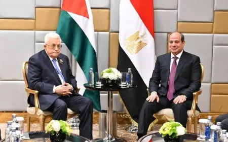 رئيس مصر يجتمع مع رئيس فلسطين في موسكو! ماذا حدث خلال الاحتفال؟