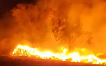 ١٧ شخص يصابون و٥ ملايين جنيه خسائر بسبب حريق هائل في الغربية – شاهد الفيديو!