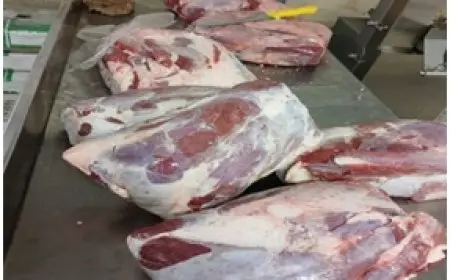 التحالف الوطني للعمل الأهلي يكشف عن خطته الكبيرة لدعم الأسر الأكثر احتياجًا في عيد الأضحى