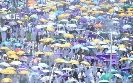 الخدمات الحجية المتميزة لعام 1446: تعرف على كل تفاصيل الإقامة والمشاعر المقدسة!