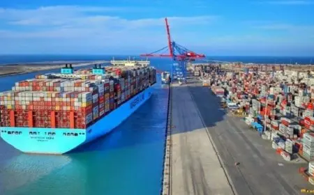 أحمد موسى يفضح سر تعقيدات الاستثمار في مصر!