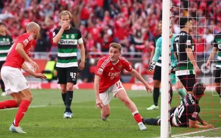 بنفيكا يسجل هدفاً مدهشاً ويحقق التعادل مع سبورتينغ.. والحسم يُؤجَّل للجولة الأخيرة