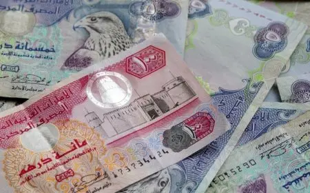 الكشف عن سعر الدرهم الإماراتي مقابل الجنيه اليوم.. لن تصدق ماذا حدث!