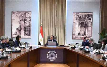 رئيس الوزراء يشرع في تحويل شكل الهيئات الاقتصادية!