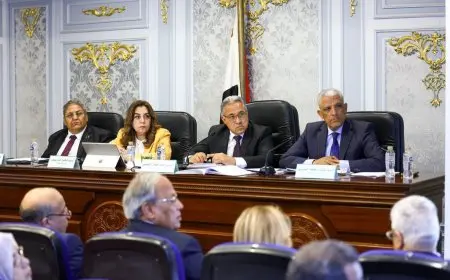 وزيرة التنمية المحلية تكشف عن خطة سرية لتحفيز القطاع الخاص على الاستثمار في مشاريع البنية التحتية