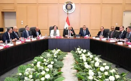 كامل الوزير يدعو إلى حماية الموارد البيئية في اجتماع مجموعة التنمية الصناعية الحادي والعشرين!