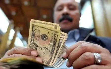 المفاجأة: إرسال 32.6 مليار دولار من الخارج! كل ما تحتاج إلى معرفته حول تحويلات المصريين العالمية في عام واحد