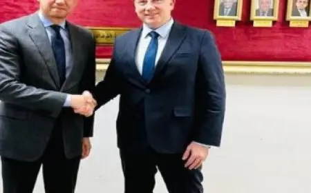 مصر وفرنسا يوحدان الجهود ضمن مجموعة العشرين والسبعة!