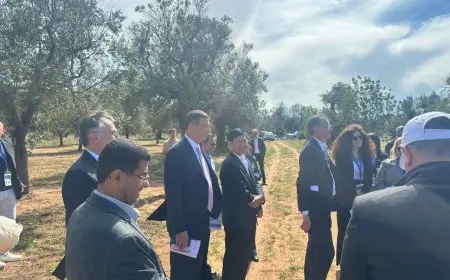 وزير الزراعة يكشف عن زيارته لمزارع الزيتون الإيطالية المصابة ببكتيريا الزيليلا ويكشف النتائج المدهشة!