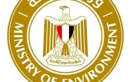 لن تصدق كيف تتحرك البيئة لحماية سكان زهراء المعادي بعد تفاقم مشكلة الحرائق!