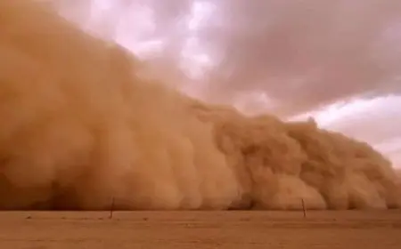 فضيحة الأرصاد: العاصفة شيماء تعصف بمصر وهذه حقيقة الوضع!