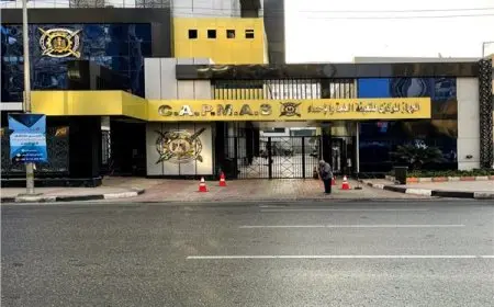 اكتشف كمية الأقطان المذهلة المستهلكة خلال عام 2024: الإحصاءات تكشف!