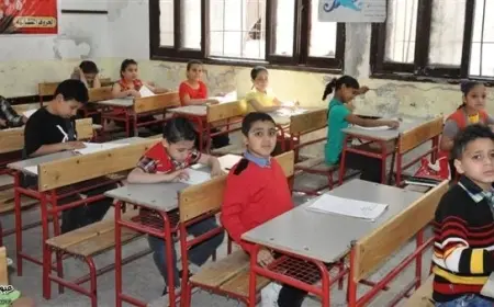 محافظة الاسكندرية.. جدول امتحانات الصف الثالث الابتدائي 2025 الترم الثاني حكومى ولغات