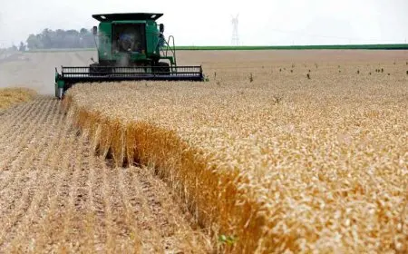 أحمد موسى يكشف عن توجيهات سرية من الرئاسة لزيادة الدعم للفلاحين ورفع أسعار القمح!