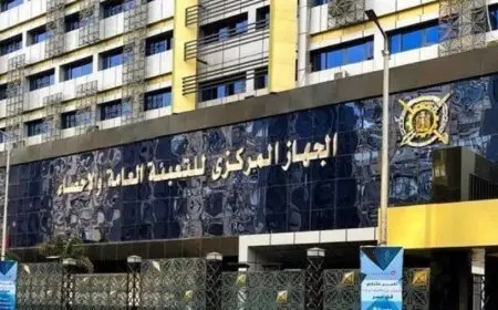 إحصائيات صادمة! نسبة البطالة تنخفض إلى 6.3٪ في الربع الأول من عام 2025