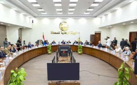 وزير قطاع الأعمال يكشف عن خطة سرية لتعظيم الأرباح وضمان الاستدامة في الشركات!