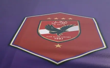 لن تصدق ما فعله الأهلي بعد خسارته للقاء القمة!