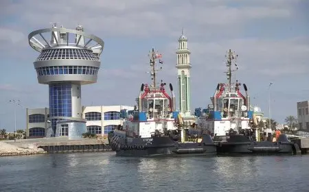 بالصور: ميناء دمياط يحطم الرقم القياسي ويستقبل 29 سفينة في يوم واحد!