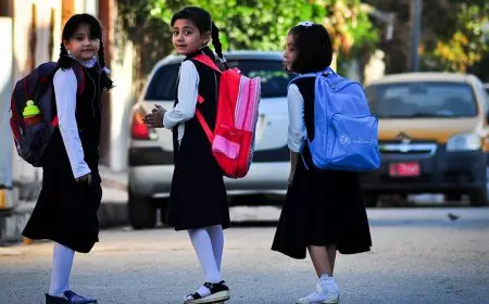 ارتفاع حد العمر لمسابقة معلم مساعد إلى 45 عامًا! تعرف على الشروط والموعد النهائي