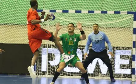 منتدى المغربي يتوج بلقب كأس الكؤوس الإفريقية لليد على جينيس كينشاسا!