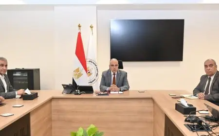 وزير الري يكشف عن خطة جديدة لتسهيل إصدار تراخيص المياه الجوفية!