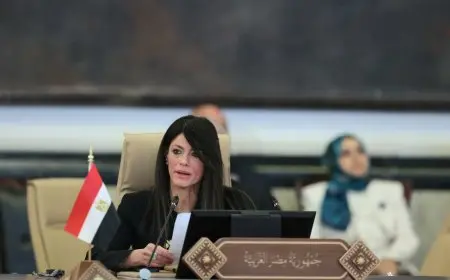 وزيرة التخطيط تحدث عن خطة التنمية لمصر في قمة بغداد!