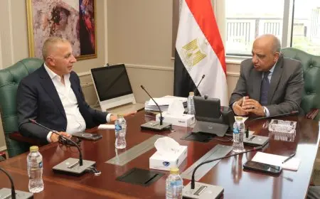 وزير الكهرباء يتباحث مع شركة السويدي إليكتريك – اكتشف أحدث التطورات والتعاون في مجال توزيع الطاقة