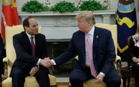 مستشار ترامب ينقل تحيات الرئيس الأمريكي للرئيس السيسي!