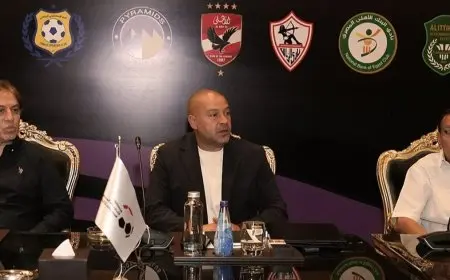 فرصة إنقاذ للإسماعيلي.. الأندية المصرية تتبنى فكرة “إلغاء الهبوط” في الدوري