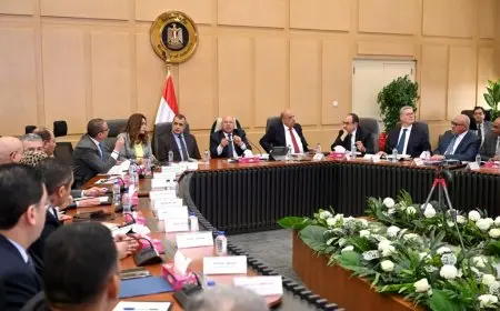 وزير الصناعة يعلن عن خطة ساحرة لتحسين صناعة السيارات في البلاد!