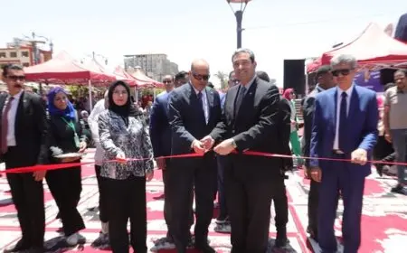 وزير العمل يفجر مفاجأة: 1100 فرصة عمل و25 عقدًا لذوي الهمم في دمياط!