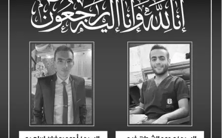 وزير الصحة يشعل الجدل بعد نعى فنيي تمريض توفيا في ولاية البحيرة