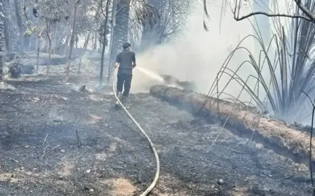 استعراض: محافظ الوادي الجديد يحقق فوزاً كبيراً على النيران دون تكبد خسائر!