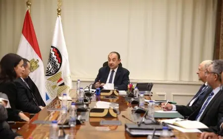 وزير قطاع الأعمال يبحث مع وفد بريتش بتروليوم تفاصيل إعادة تشغيل مصنع الأنود بالعين السخنة!