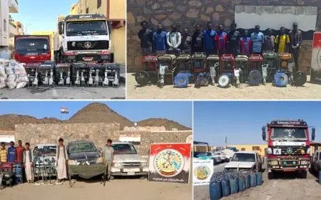 نشاط مكثف لـ قوات حرس الحدود بجميع الاتجاهات الاستراتيجية!