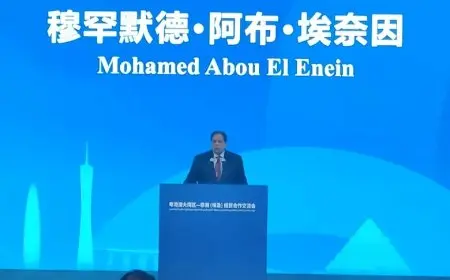 ابو العينين يكشف النقاب عن فرص الاستثمار المذهلة في مصر أمام رجال الأعمال الصينيين