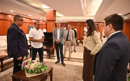 الخطة السرية التي ستحدث ثورة في الاقتصاد المصري: الرئيس السيسي يدعو لجذب الاستثمارات الأجنبية!