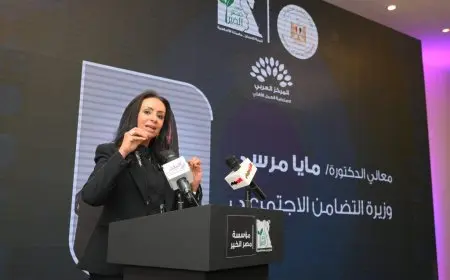 مفاجأة: المجتمع الأهلي في مصر يتحول إلى أركان التنمية!