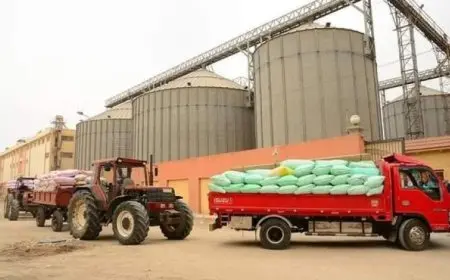 “إسماعيلية تحقق إنجازاً ملفتاً بتوريد 37 ألف طن من القمح! اكتشف التفاصيل الآن”