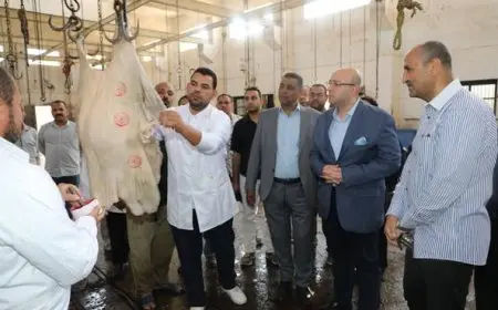مفاجأة مدهشة! محافظ بني سويف يزور مجزر ناصر قبل عيد الأضحى، شاهد الصور والتفاصيل الحصرية الآن
