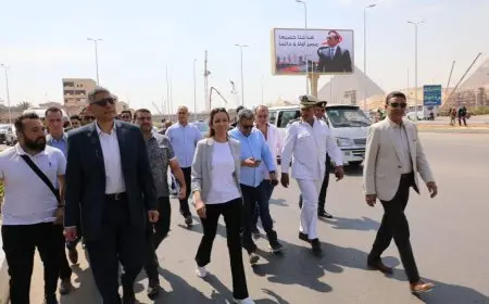 مفاجأة: محافظ الجيزة يزور محيط المتحف المصري الكبير قبل افتتاحه!