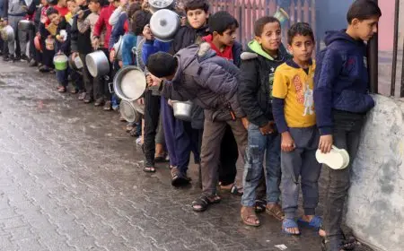 اللجنة الوزارية العربية تناشد بشكل عاجل لإرسال المساعدات الإنسانية إلى سكان غزة